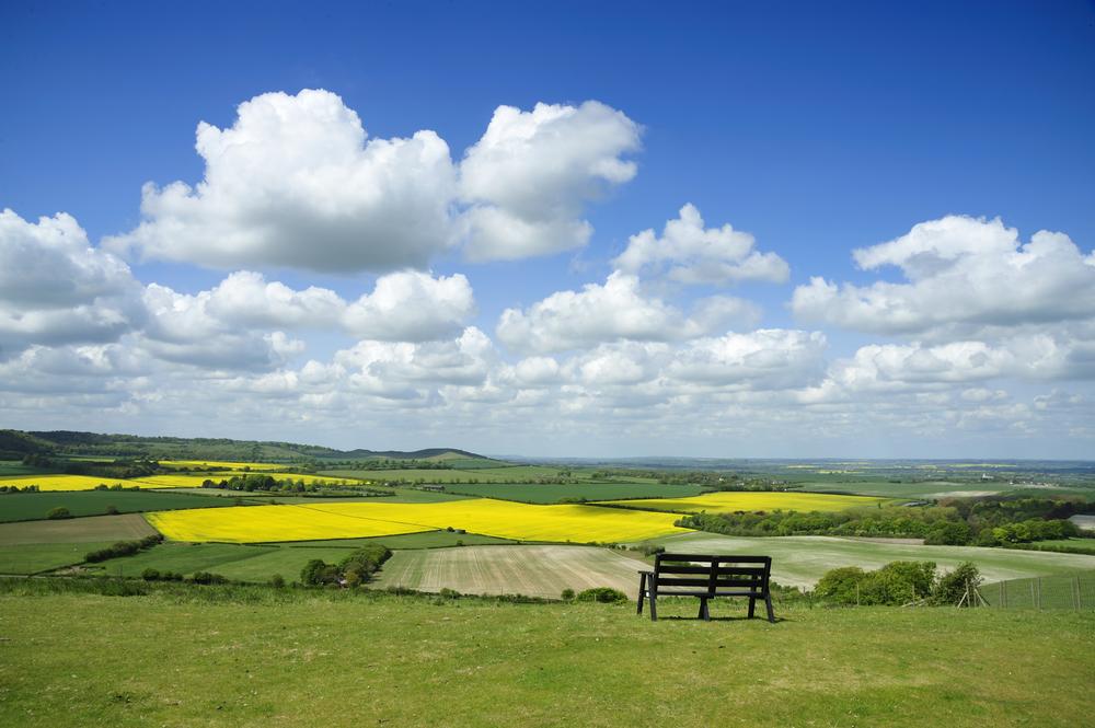 DUNSTABLE DOWN